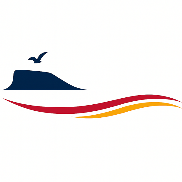 Logo La Veu